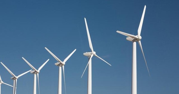Which Renewable Energy Is Right For Your Business?