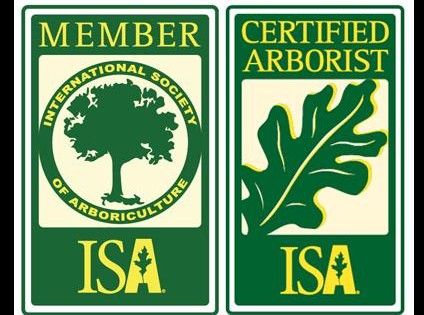 How to Become a Certified Arborist